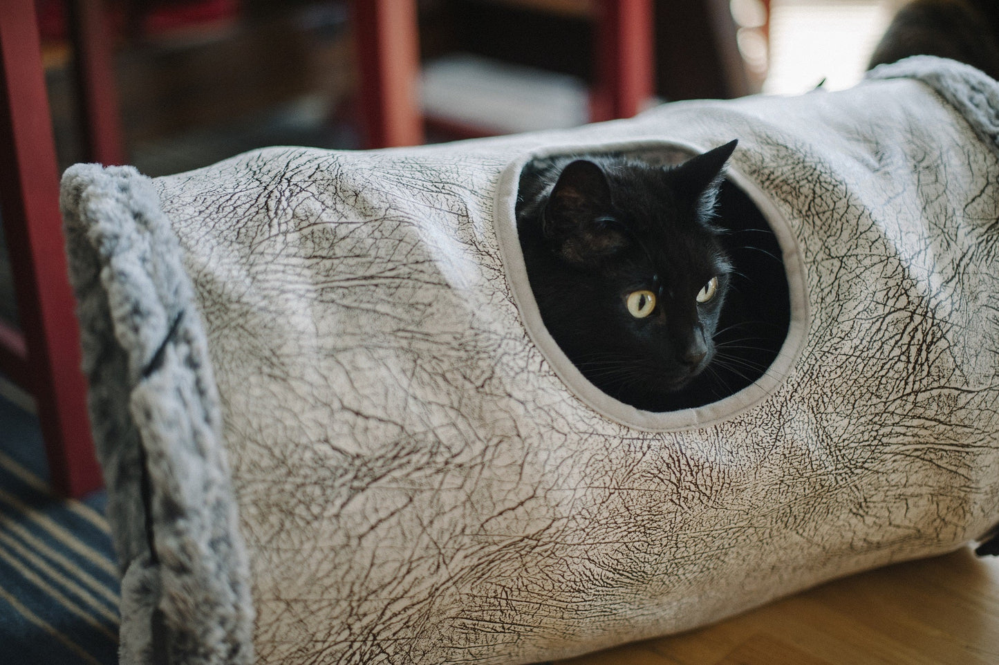 Feline Frenzy Purr & Pounce Cat Tunnel