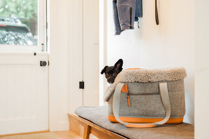 LeftPine x P.L.A.Y. Deluxe Dog Carrier