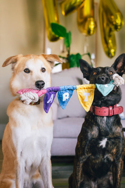 Party Animal Tug n’ Party Banner