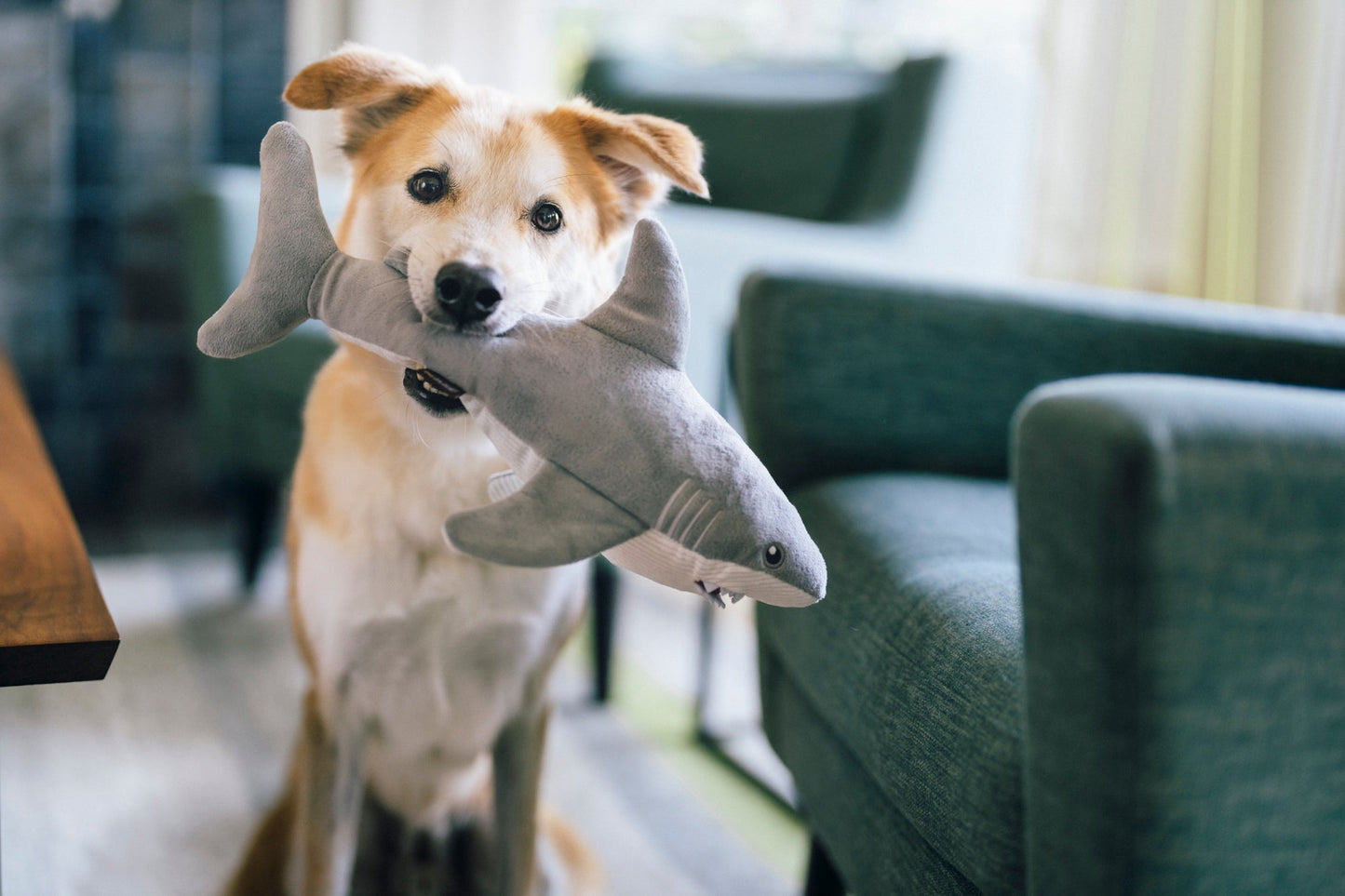 Ocean Buddies Great White Gabe