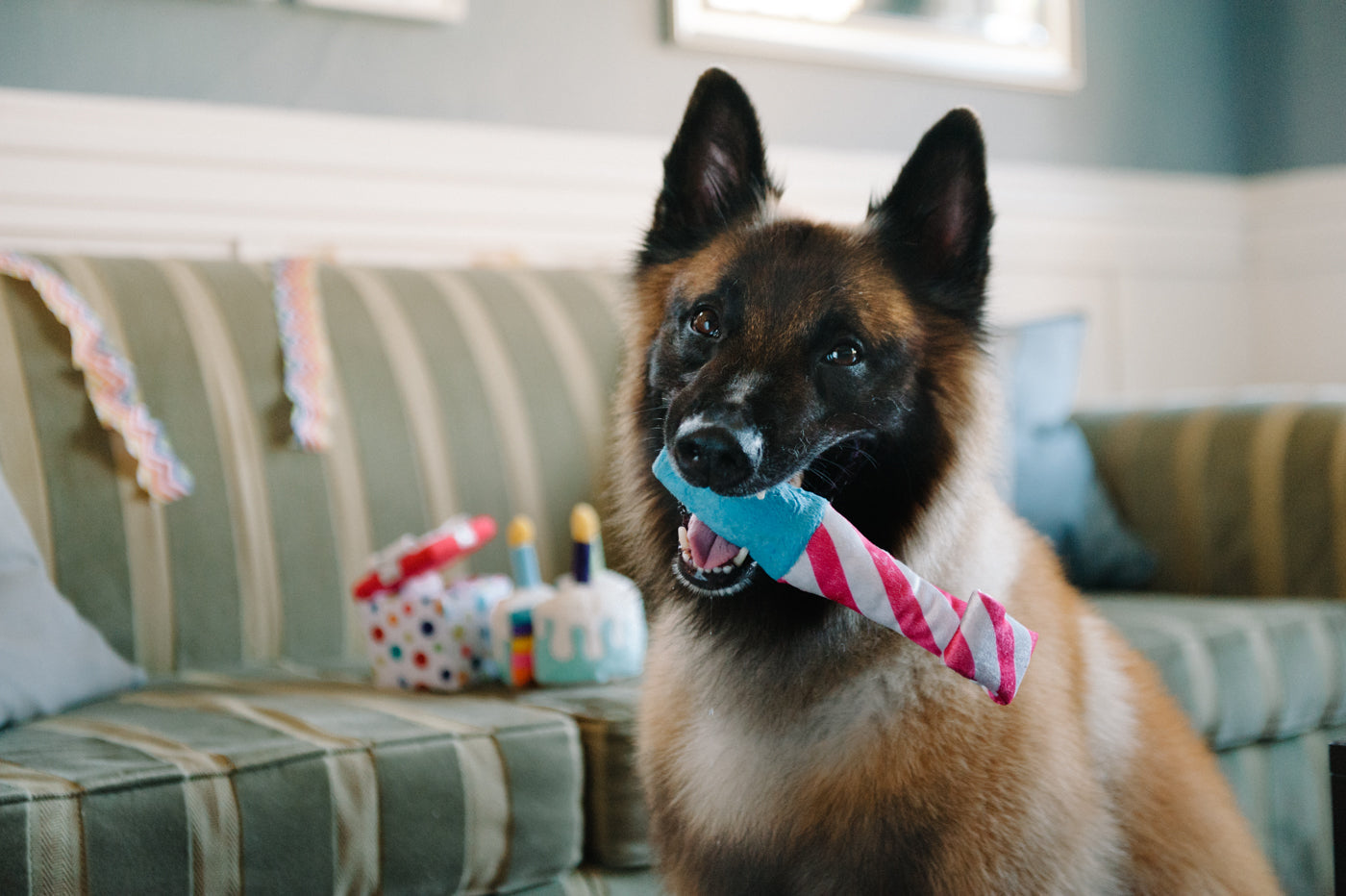 Party Time Raise the Woof Party Horn