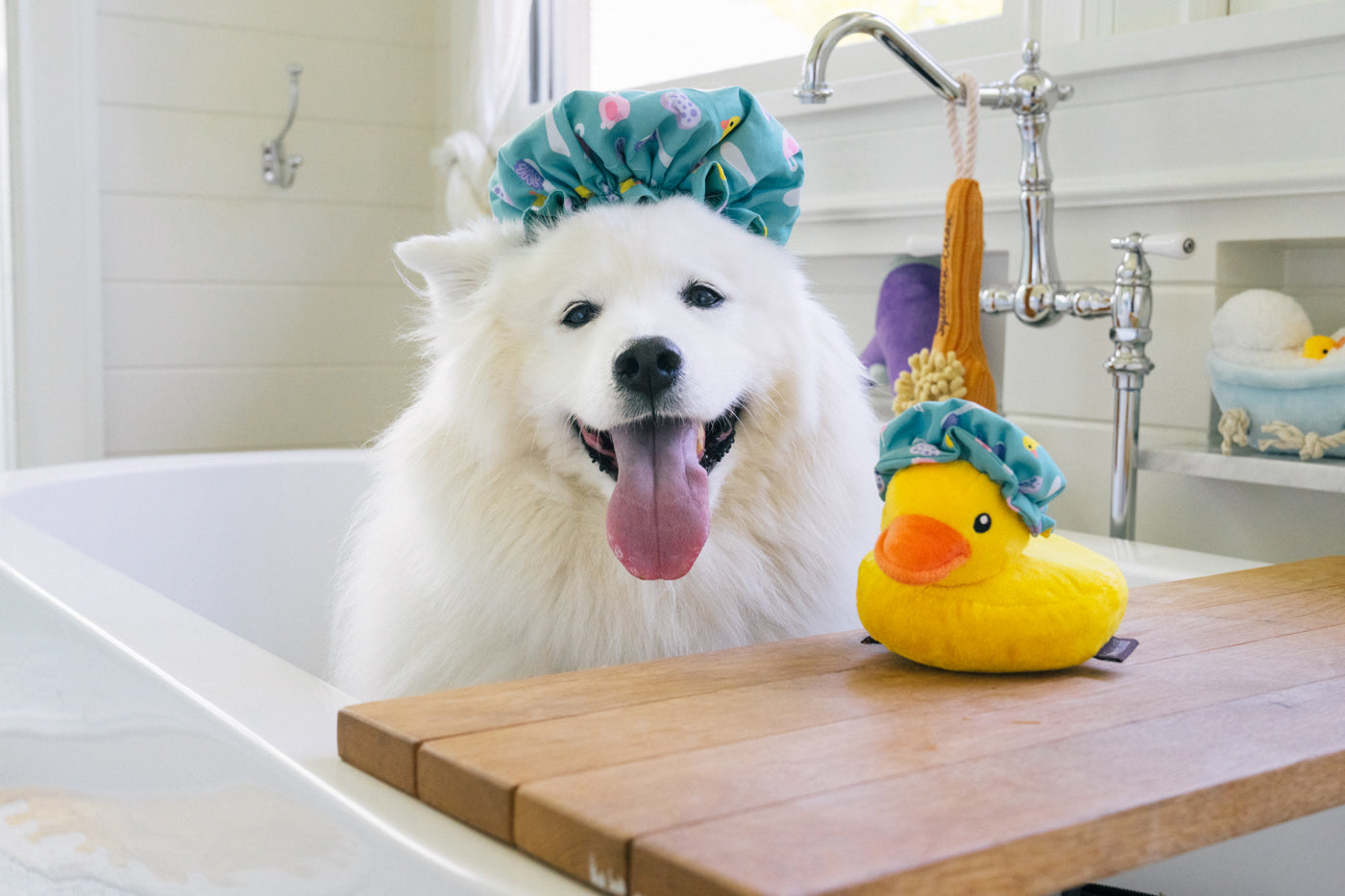 Splish Splash Shower Quack