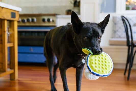 Barktender Pup-arita