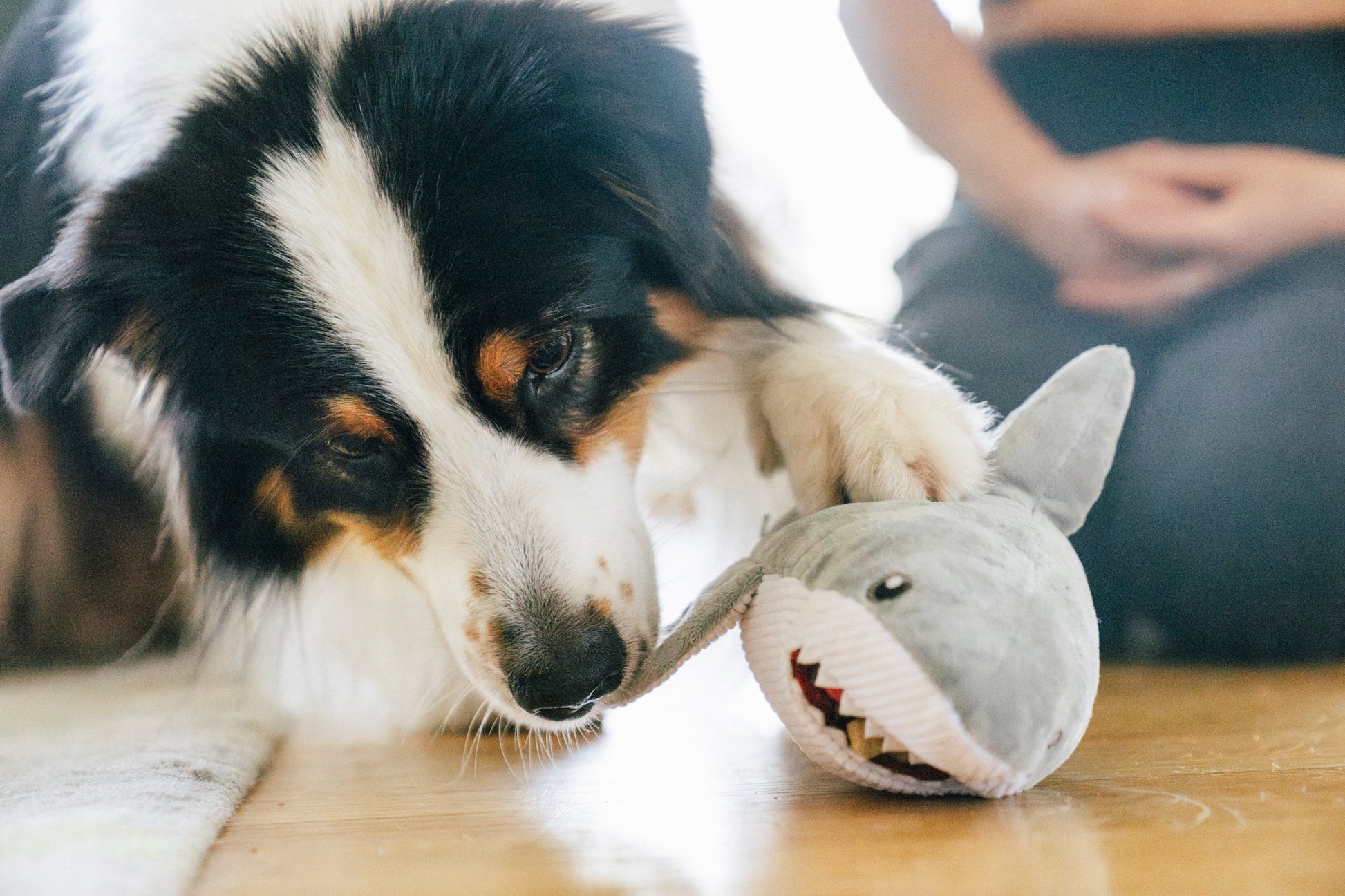 Ocean Buddies Great White Gabe
