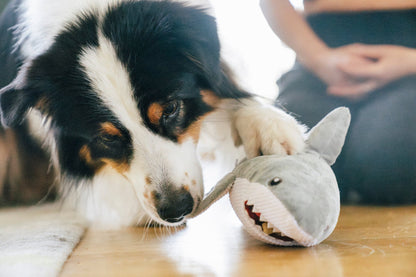 Ocean Buddies Great White Gabe