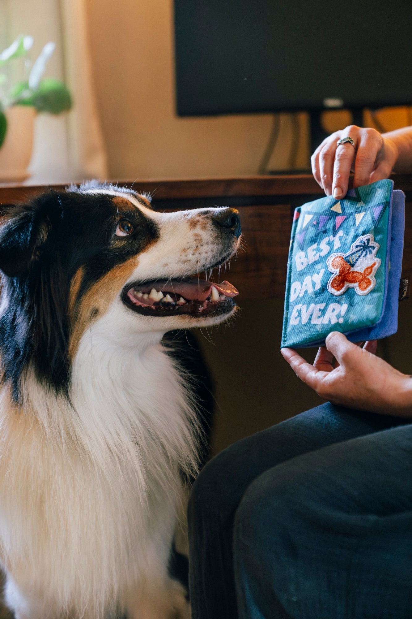Party Animal Barkday Wishes