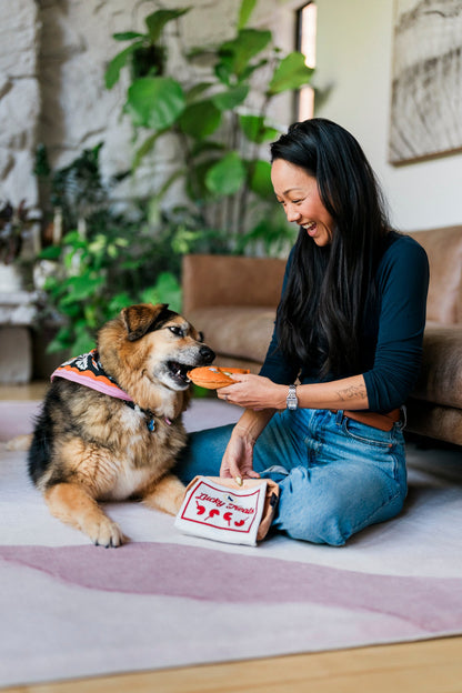 Fog City Pet x Play Lucky Treats