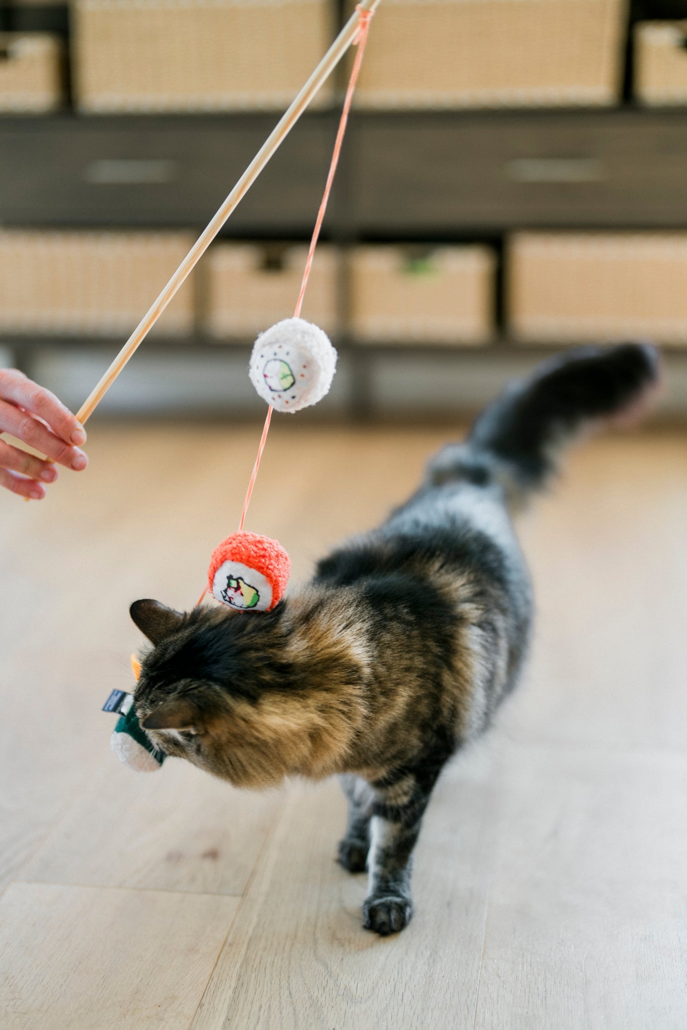 Fog City Pet x Feline Frenzy Roll With It Wand