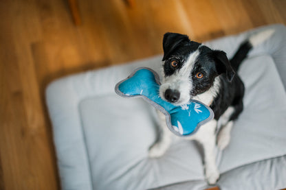 ECO PLAY Bone