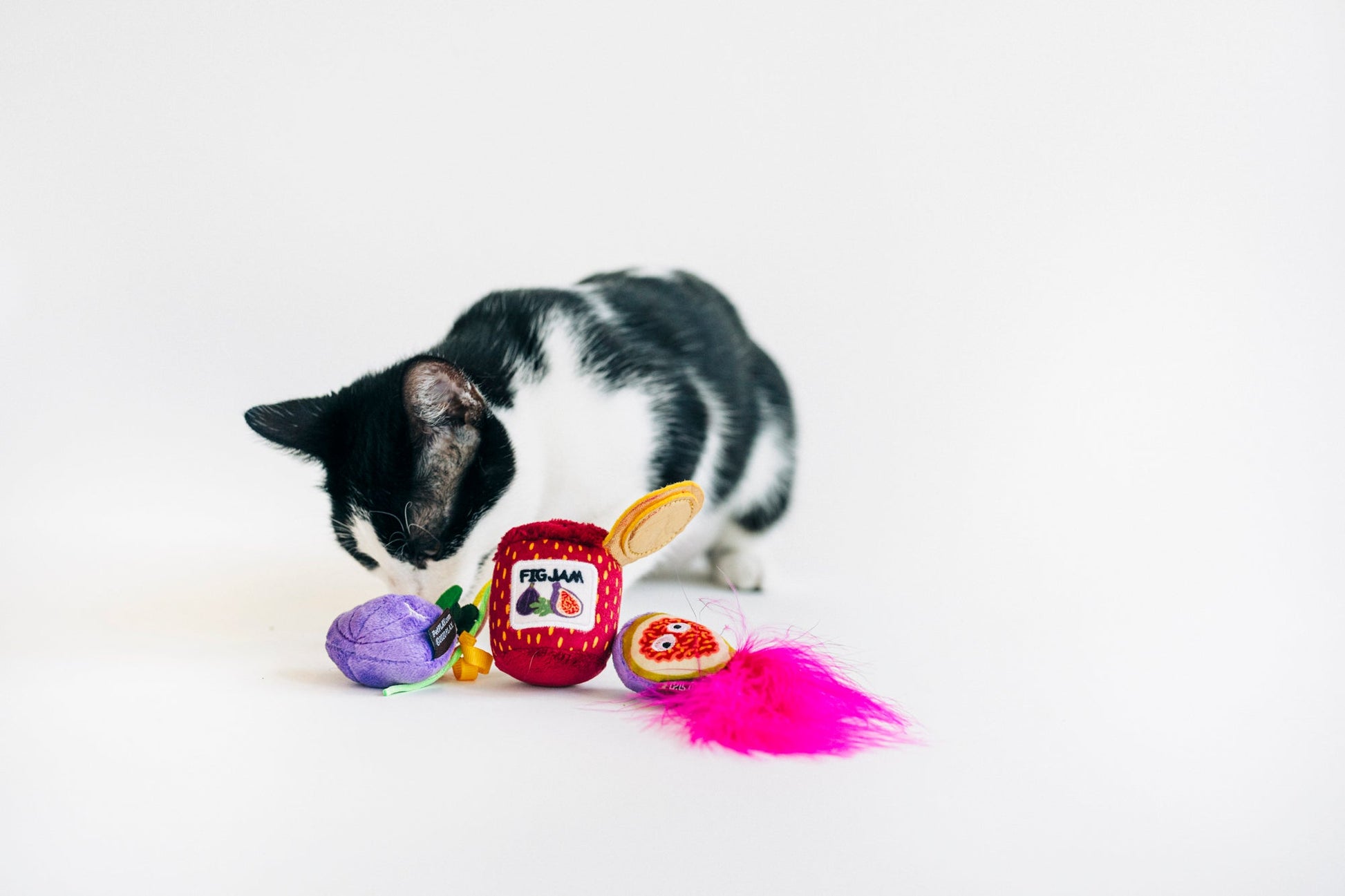 Feline Frenzy Fig N' Whiskers
