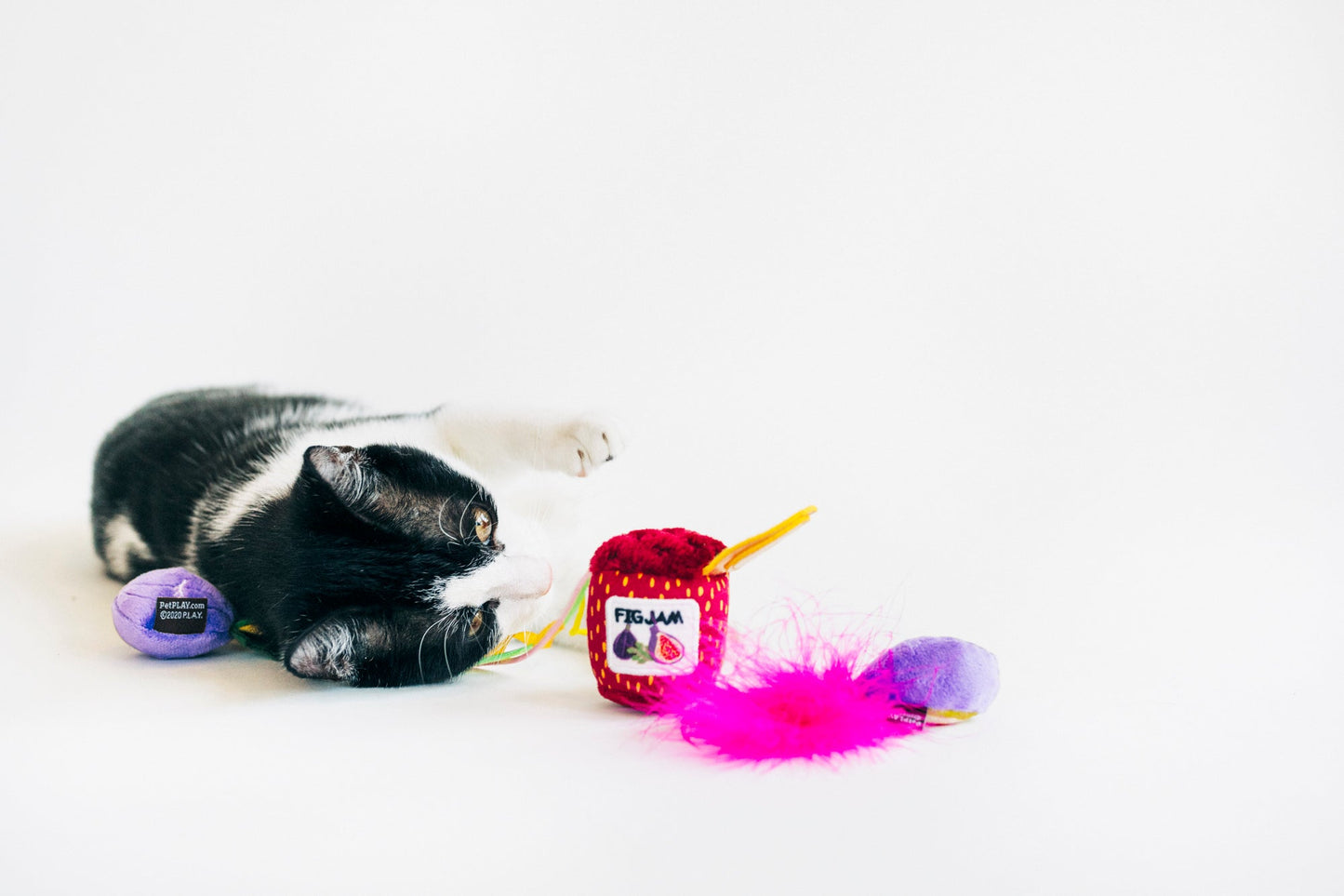 Feline Frenzy Fig N' Whiskers