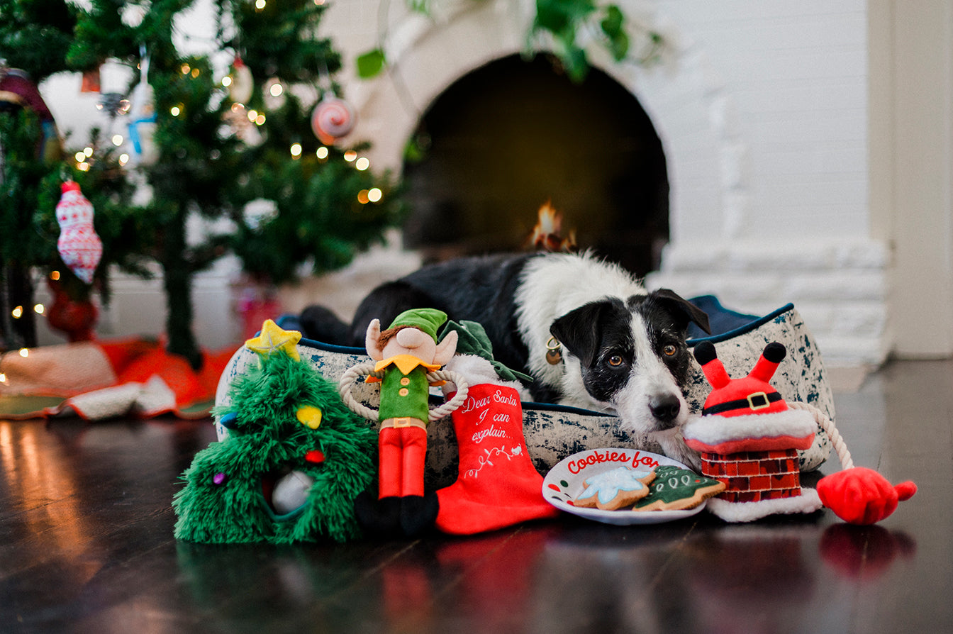 Merry Woofmas Collection