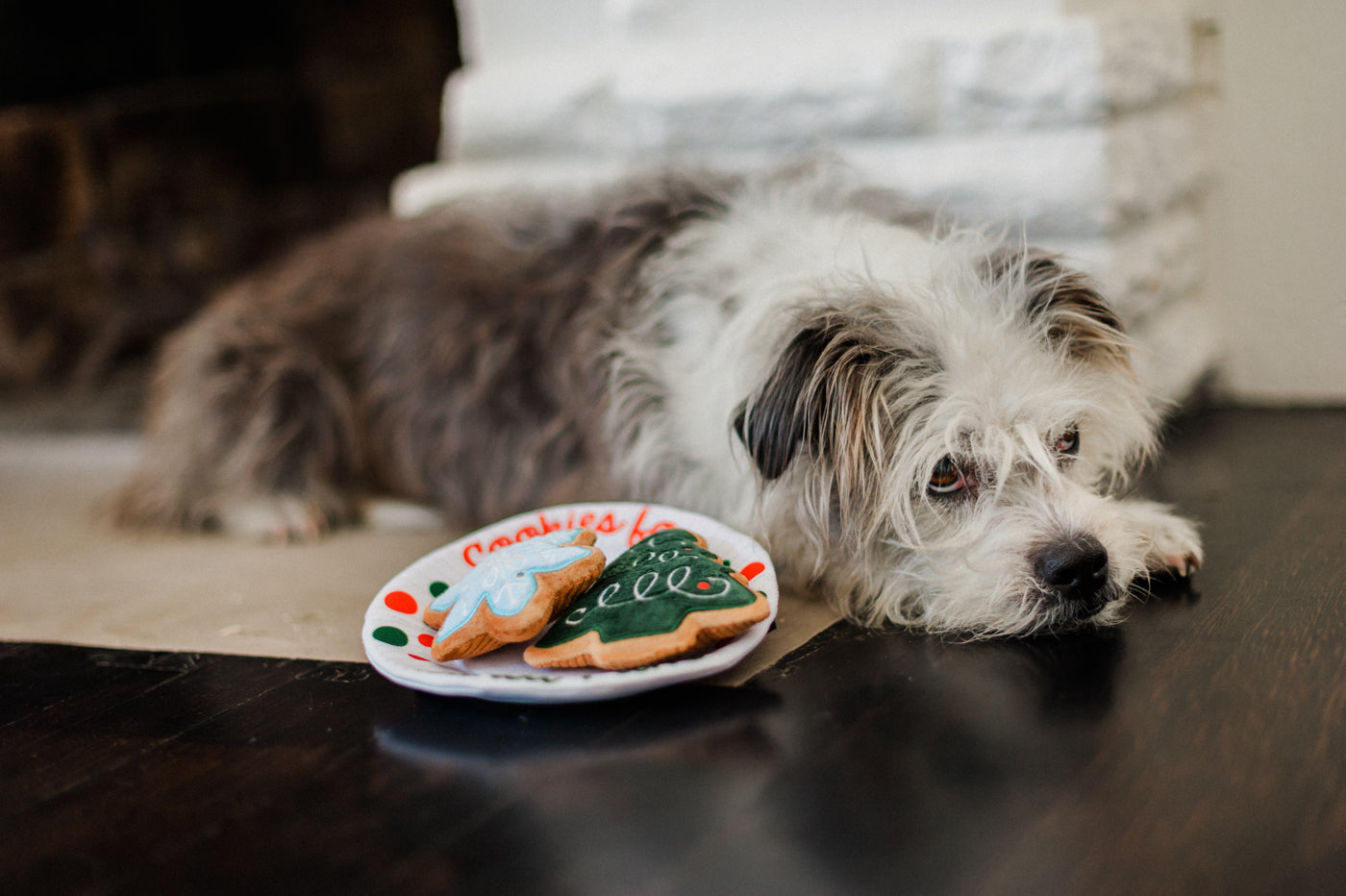 Merry Woofmas Christmas Eve Cookies