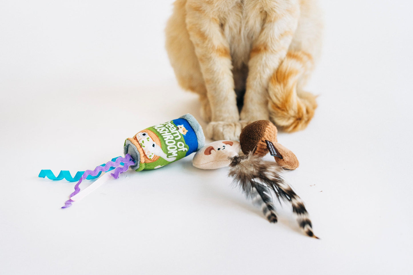 Feline Frenzy Purrfectly Fungi