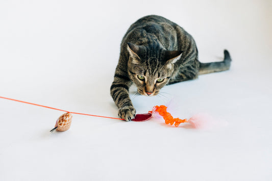 Feline Frenzy Swatlami Wand