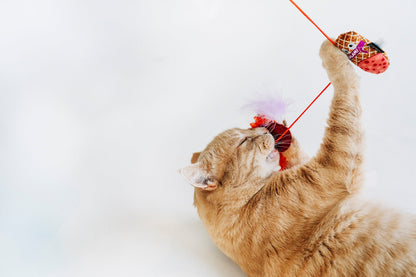 Feline Frenzy Swatlami Wand