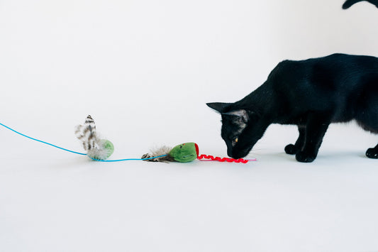 Feline Frenzy Purrfectly Pitted Wand
