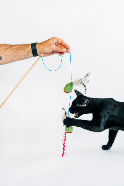 Feline Frenzy Purrfectly Pitted Wand