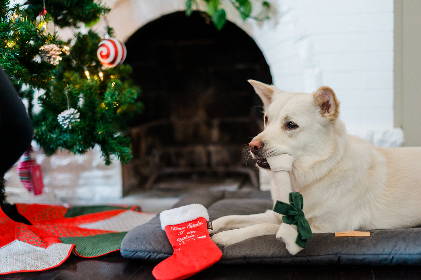 Merry Woofmas Good Dog Stocking