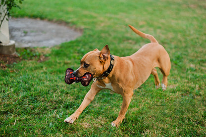 ECO PLAY Bone