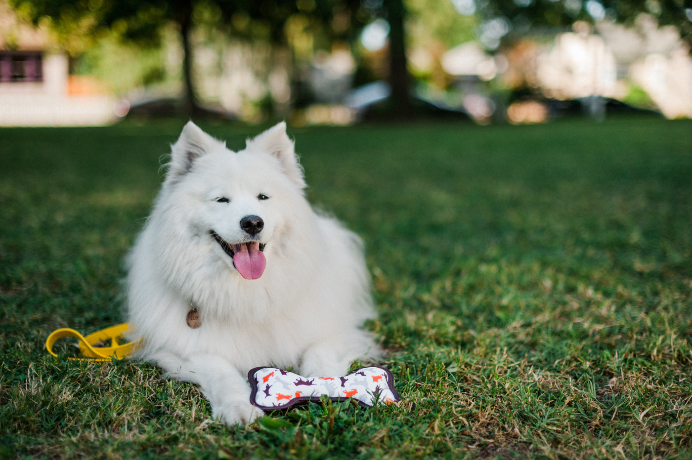ECO PLAY Bone