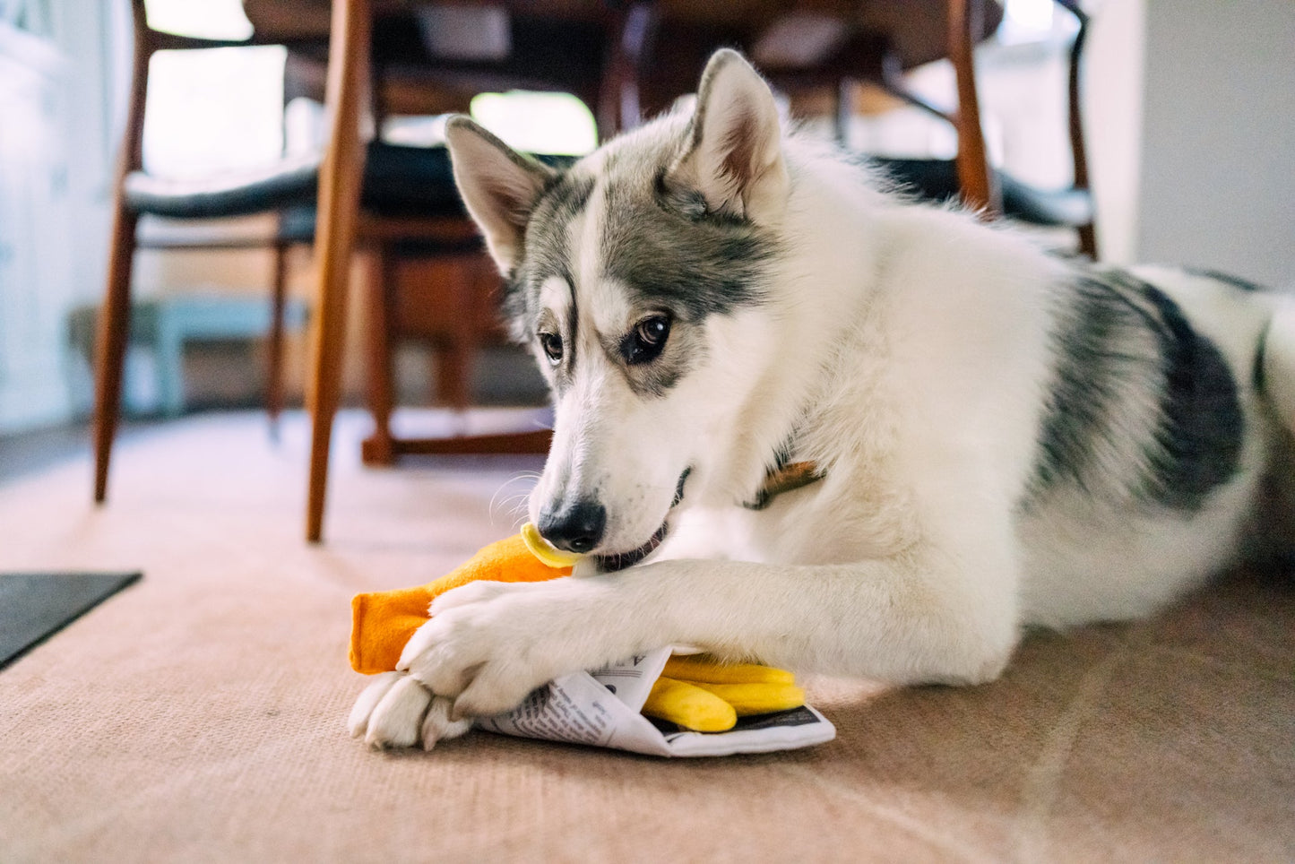 International Classic Chippy Chews
