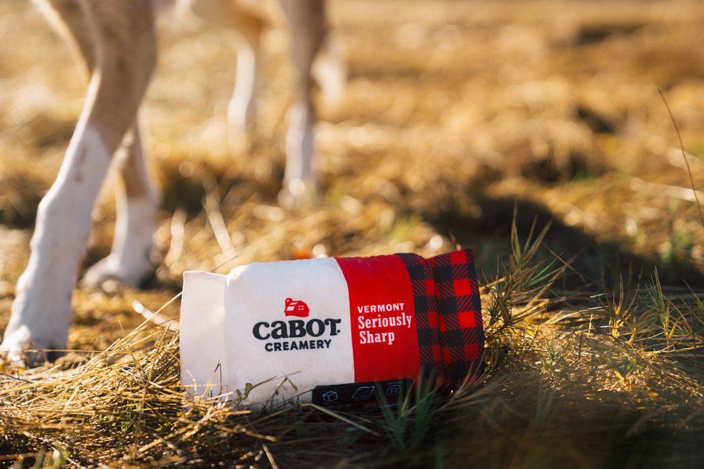 Cabot Creamery x Play Seriously Sharp Squeaker