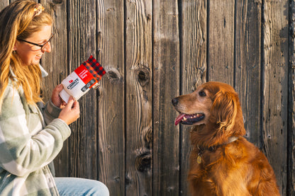 Cabot Creamery x Play Seriously Sharp Squeaker