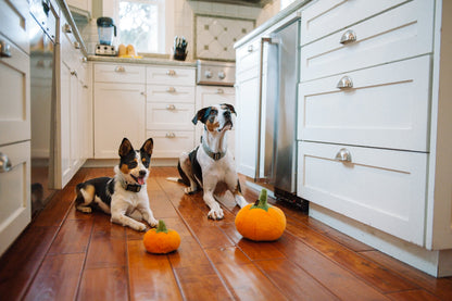 Garden Fresh Pumpkin