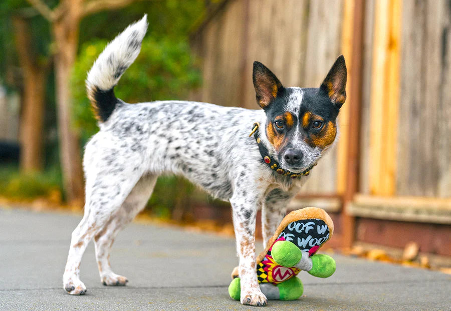 90s Classics Kickflippin' K9