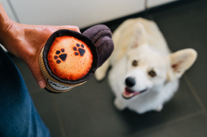 Pup Cup Cafe Collection