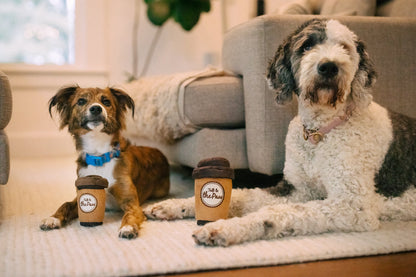 Pup Cup Cafe Collection