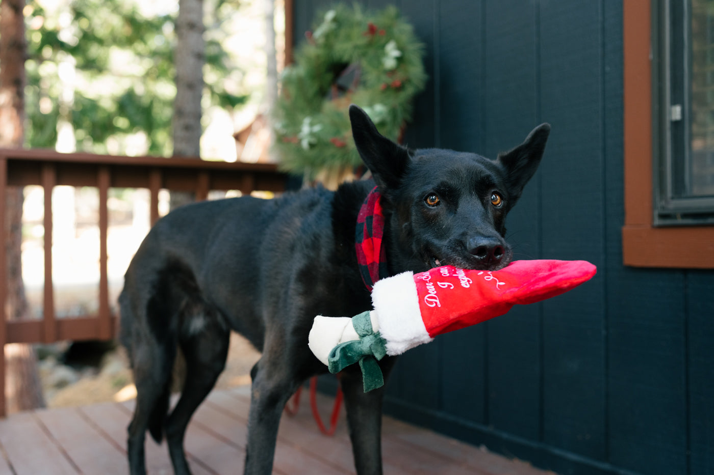 Merry Woofmas Good Dog Stocking