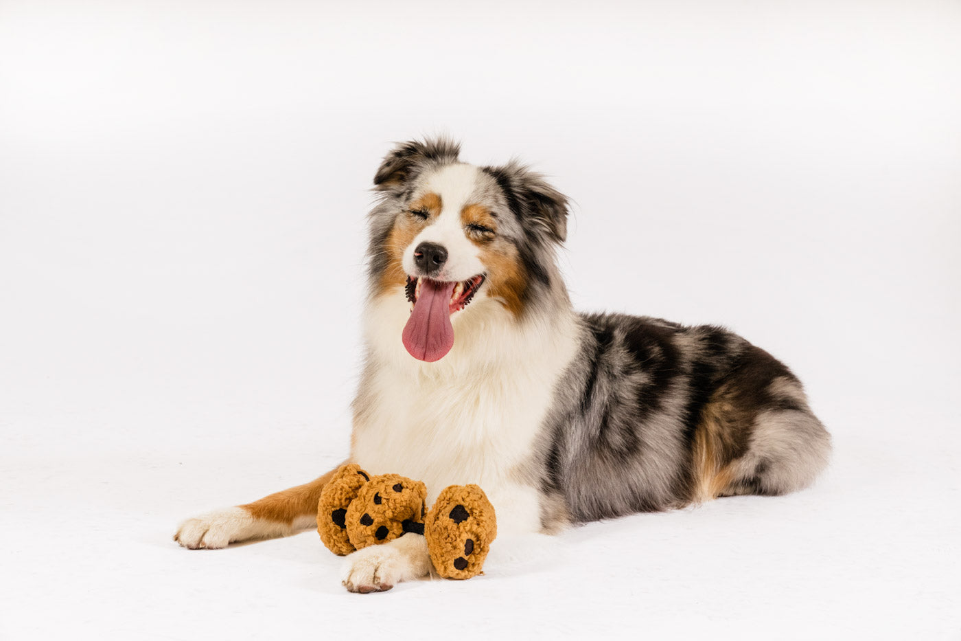 Pup Cup Cafe Cookies n’ Treats