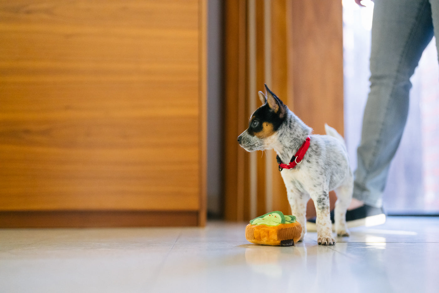 Barking Brunch Collection