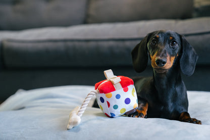 Mini Party Time Pawfect Present