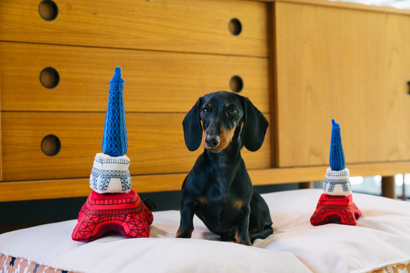 Totally Touristy Eiffel Tower