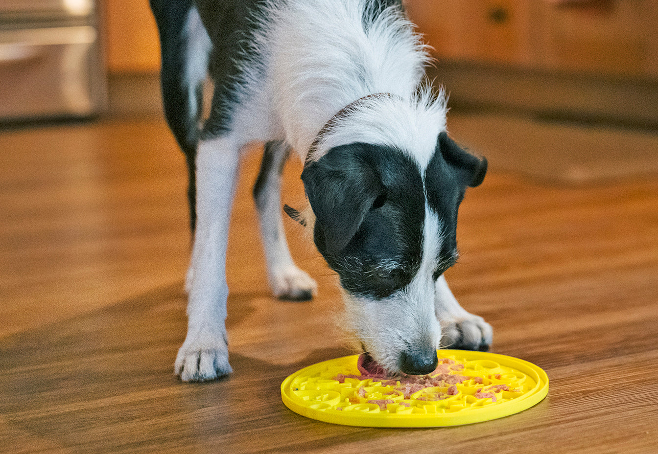 ZoomieRex EverLick Mat