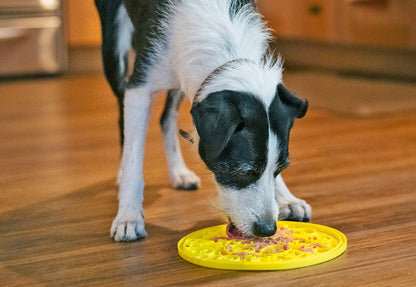 ZoomieRex EverLick Mat